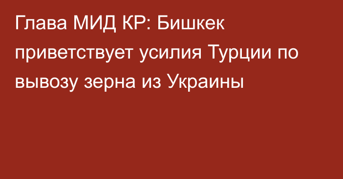 Глава МИД КР: Бишкек приветствует усилия Турции по вывозу зерна из Украины