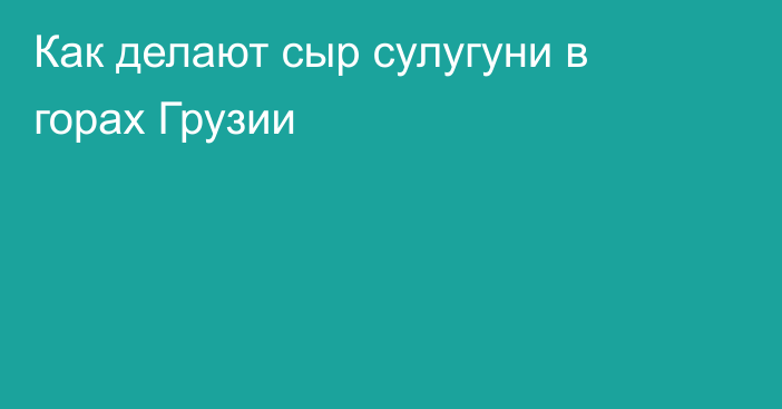 Как делают сыр сулугуни в горах Грузии