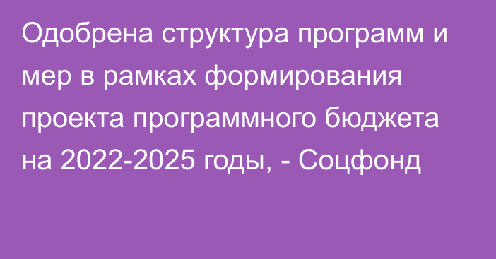 Одобрена структура программ и мер в рамках формирования проекта программного бюджета на 2022-2025 годы, - Соцфонд
