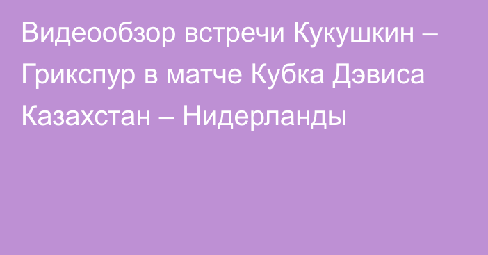 Видеообзор встречи Кукушкин – Грикспур в матче Кубка Дэвиса Казахстан – Нидерланды