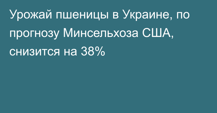 Урожай пшеницы в Украине, по прогнозу Минсельхоза США, снизится на 38%