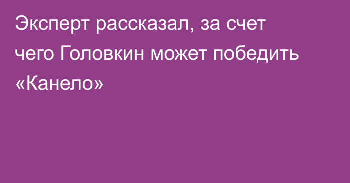Эксперт рассказал, за счет чего Головкин может победить «Канело»