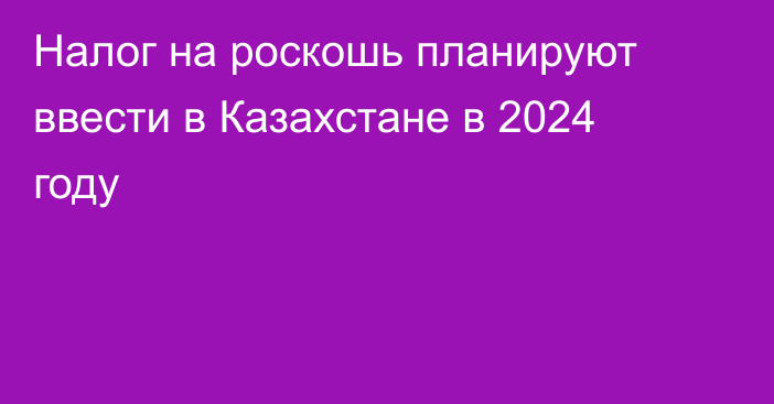 Налог на роскошь планируют ввести в Казахстане в 2024 году