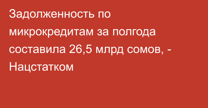 Задолженность по микрокредитам за полгода составила 26,5 млрд сомов, - Нацстатком