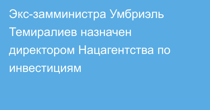 Экс-замминистра Умбриэль Темиралиев назначен директором Нацагентства по инвестициям 