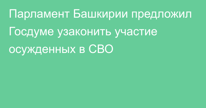 Парламент Башкирии предложил Госдуме узаконить участие осужденных в СВО