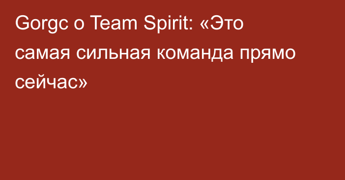 Gorgc о Team Spirit: «Это самая сильная команда прямо сейчас»