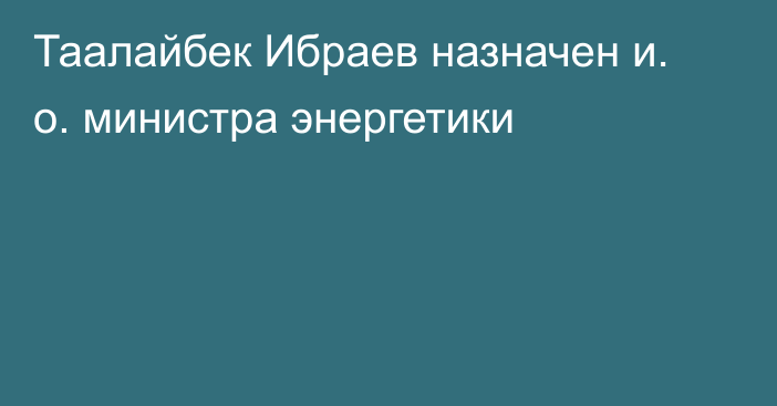 Таалайбек Ибраев назначен и. о. министра энергетики