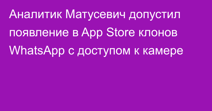 Аналитик Матусевич допустил появление в App Store клонов WhatsApp с доступом к камере