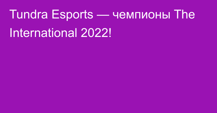 Tundra Esports — чемпионы The International 2022!
