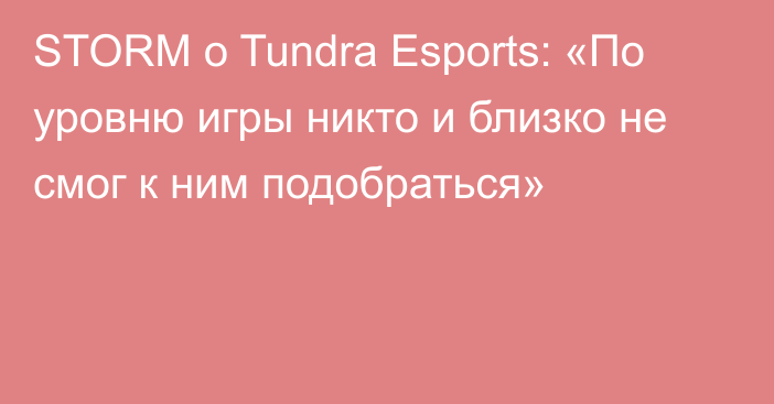 STORM о Tundra Esports: «По уровню игры никто и близко не смог к ним подобраться»