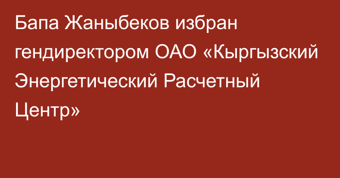 Бапа Жаныбеков избран гендиректором ОАО «Кыргызский Энергетический Расчетный Центр»