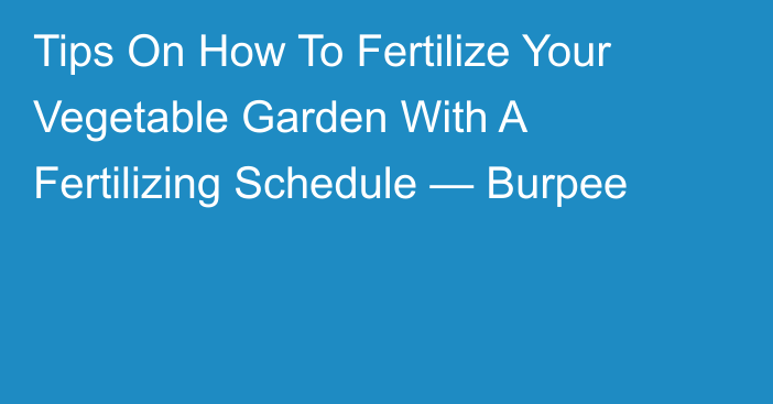 Tips On How To Fertilize Your Vegetable Garden With A Fertilizing Schedule — Burpee