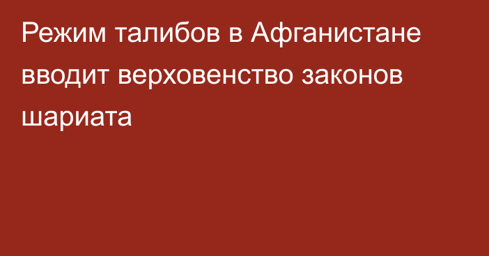 Режим талибов в Афганистане вводит верховенство законов шариата