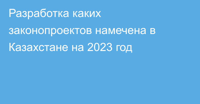 Разработка каких законопроектов намечена в Казахстане на 2023 год