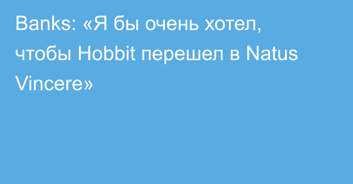 Banks: «Я бы очень хотел, чтобы Hobbit перешел в Natus Vincere»