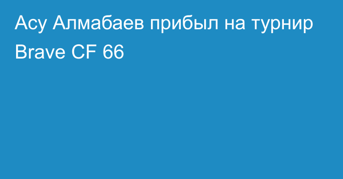 Асу Алмабаев прибыл на турнир Brave CF 66