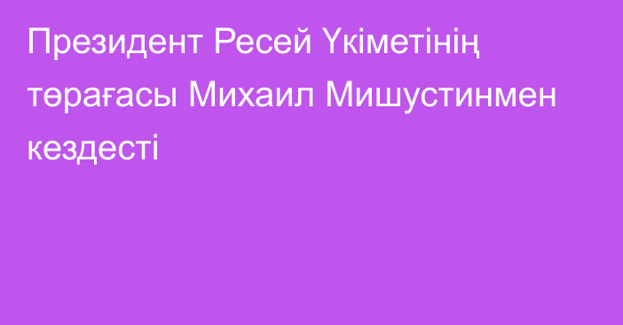 Президент Ресей Үкіметінің төрағасы Михаил Мишустинмен кездесті