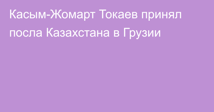 Касым-Жомарт Токаев принял посла Казахстана в Грузии