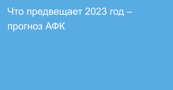 Что предвещает 2023 год – прогноз АФК