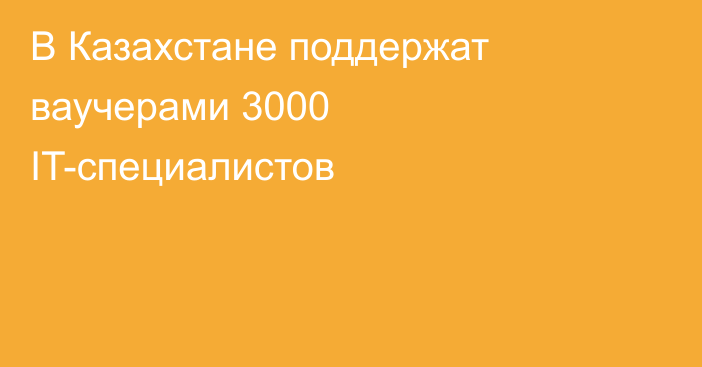 В Казахстане  поддержат ваучерами 3000 IT-специалистов