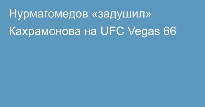 Нурмагомедов «задушил» Кахрамонова на UFC Vegas 66