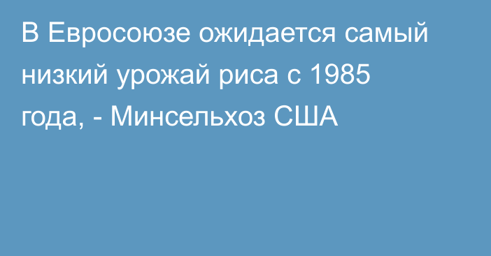 В Евросоюзе ожидается самый низкий урожай риса с 1985 года, - Минсельхоз США