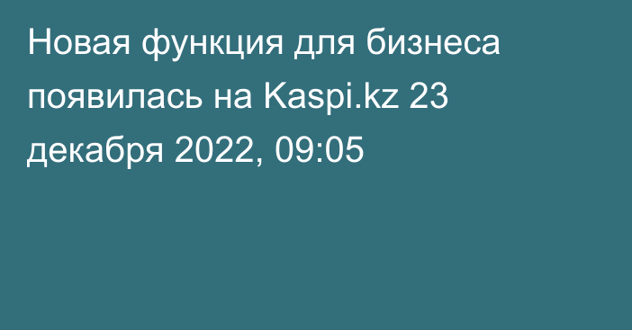 Новая функция для бизнеса появилась на Kaspi.kz
                23 декабря 2022, 09:05