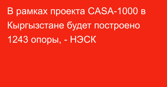 В рамках проекта CASA-1000 в Кыргызстане будет построено 1243 опоры, - НЭСК