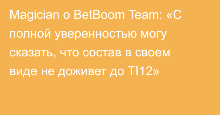 Magician о BetBoom Team: «С полной уверенностью могу сказать, что состав в своем виде не доживет до TI12»