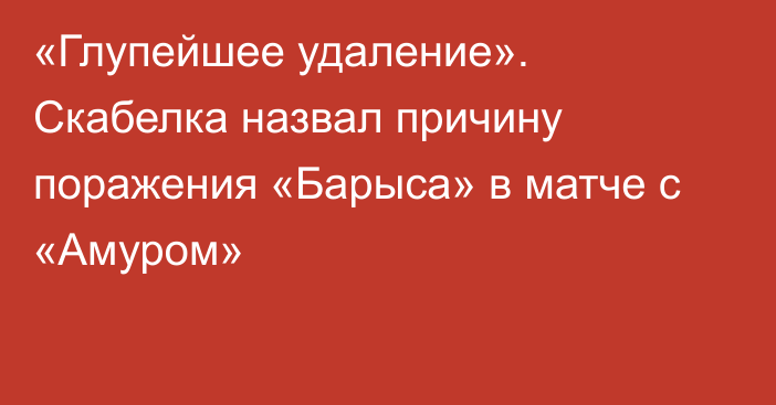 «Глупейшее удаление». Скабелка назвал причину поражения «Барыса» в матче с «Амуром»