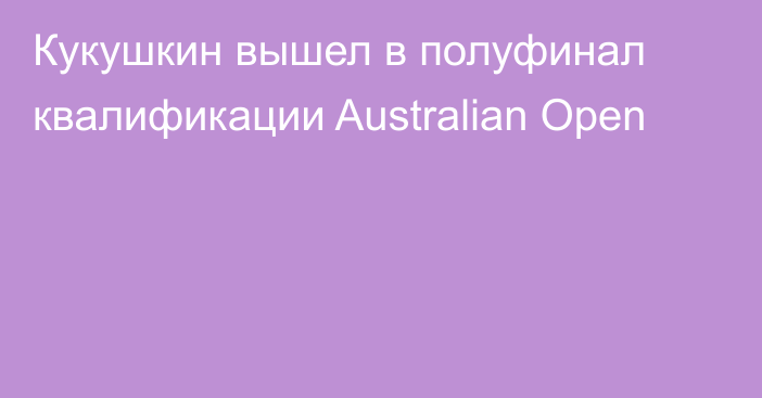 Кукушкин вышел в полуфинал квалификации Australian Open