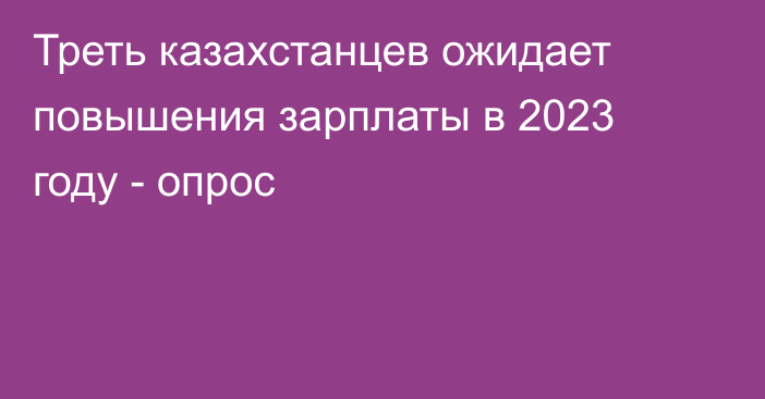 Треть казахстанцев ожидает повышения зарплаты в 2023 году - опрос