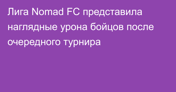 Лига Nomad FC представила наглядные урона бойцов после очередного турнира