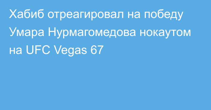 Хабиб отреагировал на победу Умара Нурмагомедова нокаутом на UFC Vegas 67