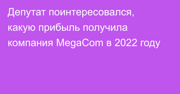 Депутат поинтересовался, какую прибыль получила компания MegaCom в 2022 году