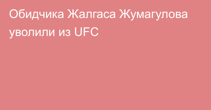 Обидчика Жалгаса Жумагулова уволили из UFC