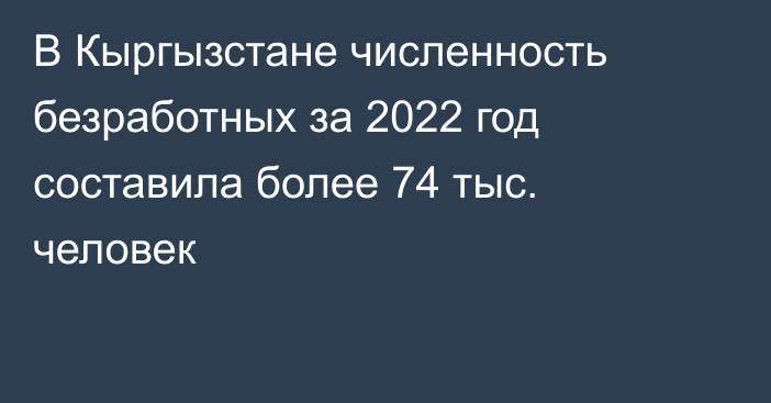 В Кыргызстане численность безработных за 2022 год составила более 74 тыс. человек 