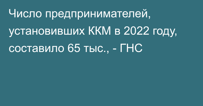 Число предпринимателей, установивших ККМ в 2022 году, составило 65 тыс., - ГНС