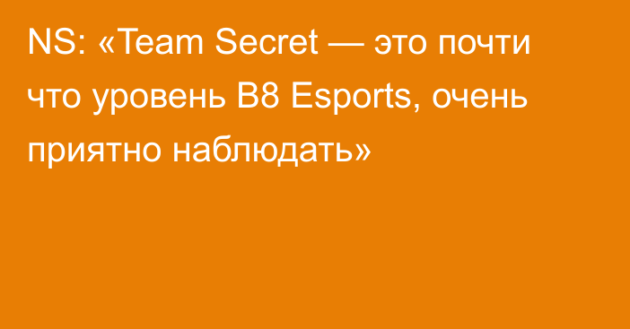 NS: «Team Secret — это почти что уровень B8 Esports, очень приятно наблюдать»