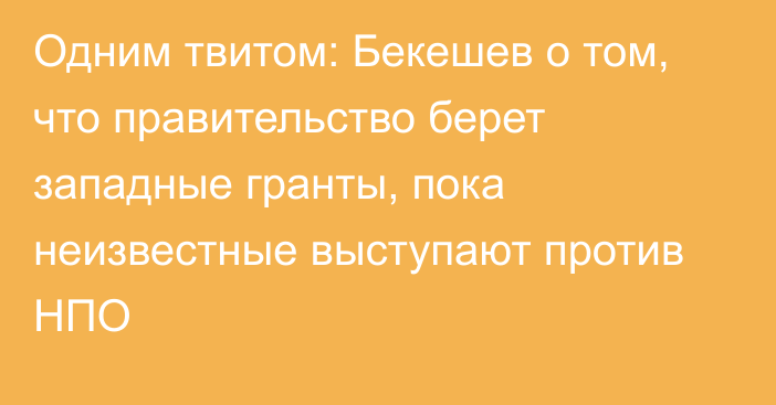 Одним твитом: Бекешев о том, что правительство берет западные гранты, пока неизвестные выступают против НПО