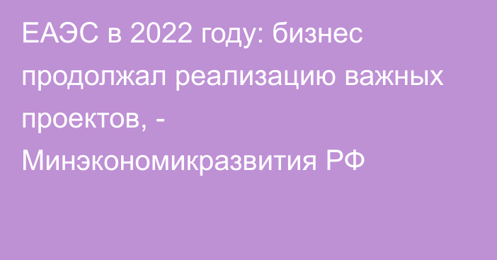 ЕАЭС в 2022 году: бизнес продолжал реализацию важных проектов, - Минэкономикразвития РФ 