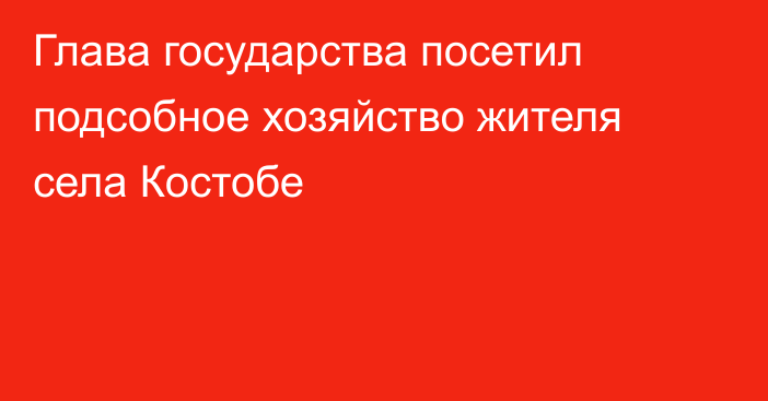 Глава государства посетил подсобное хозяйство жителя села Костобе