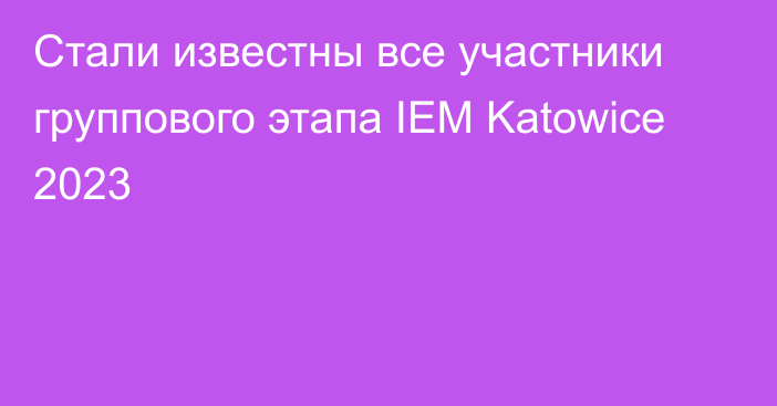 Стали известны все участники группового этапа IEM Katowice 2023