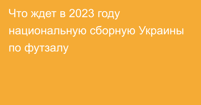 Что ждет в 2023 году национальную сборную Украины по футзалу