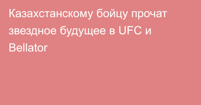 Казахстанскому бойцу прочат звездное будущее в UFC и Bellator