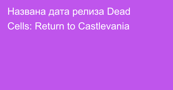 Названа дата релиза Dead Cells: Return to Castlevania