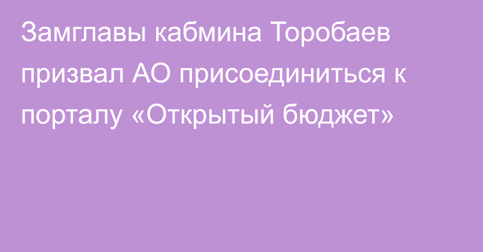 Замглавы кабмина Торобаев призвал АО присоединиться к порталу «Открытый бюджет»