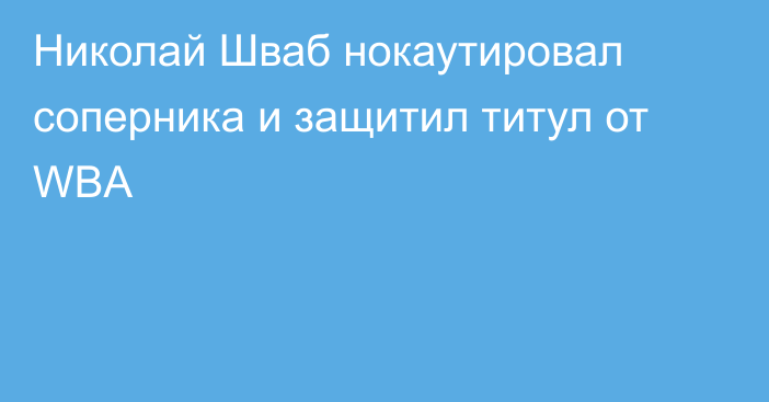 Николай Шваб нокаутировал соперника и защитил титул от WBA