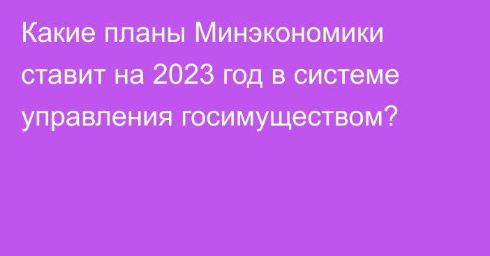 Какие планы Минэкономики ставит на 2023 год в системе управления госимуществом?